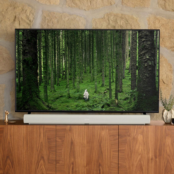 Sonos Arc Wireless Soundbar with Dolby Atmos, Apple AirPlay 2, and Built-in Voice Assistant